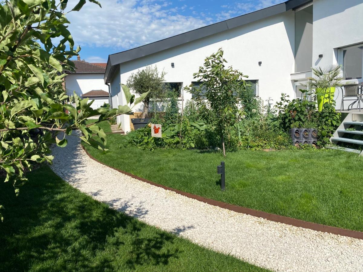 Le Clos Des Pommiers Fuji Uffholtz Zewnętrze zdjęcie
